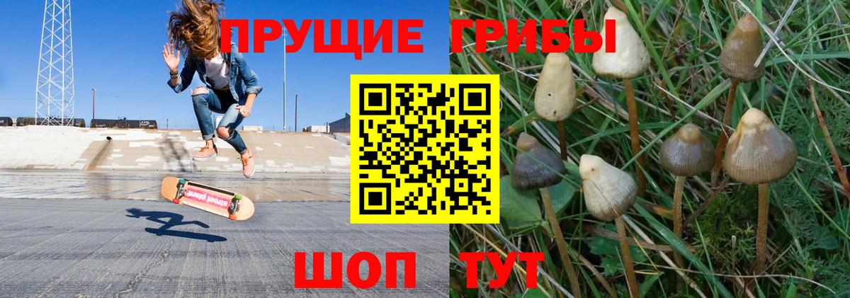 Нягань  Галлюциногенные грибы мухоморы  Вход с VPN 